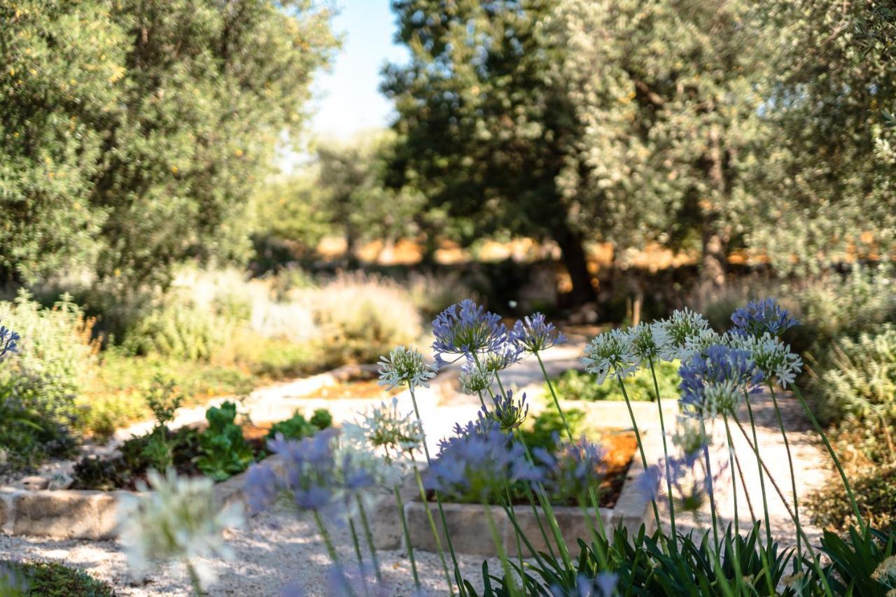 Trulli Ad Maiora Villa Alberobello Dış mekan fotoğraf