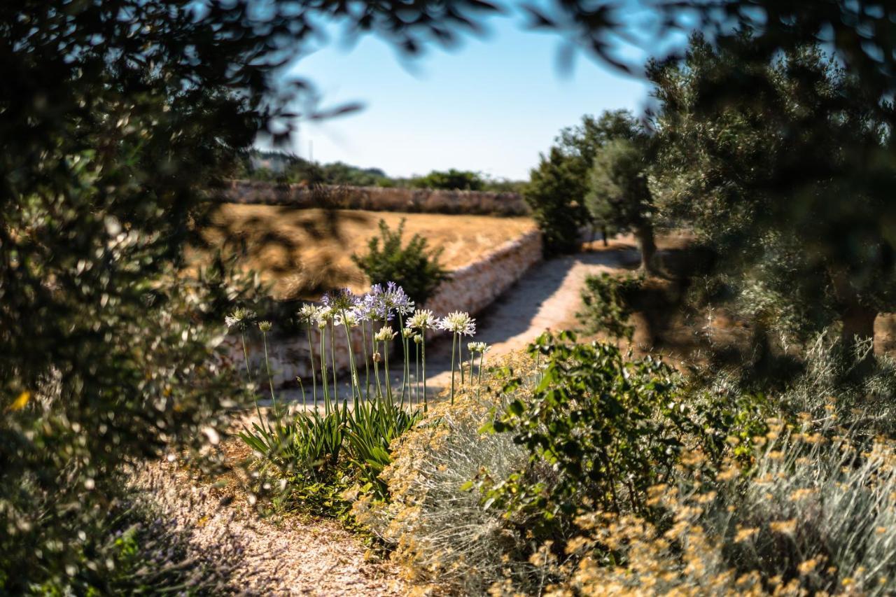 Trulli Ad Maiora Villa Alberobello Dış mekan fotoğraf